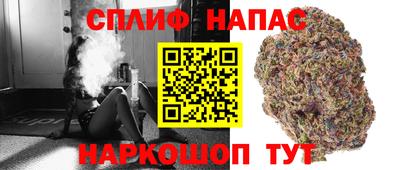 сатива Краснокаменск