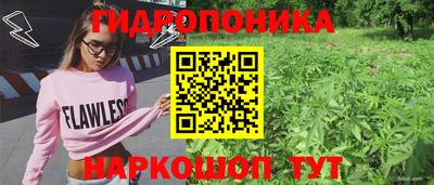 кокс Краснодар