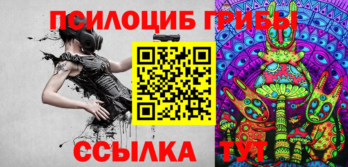 Ялуторовск  Псилоцибиновые грибы Psilocybe  Вход с VPN 