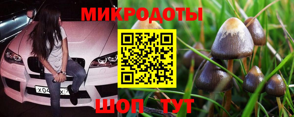 Галлюциногенные грибы мухоморы Ялуторовск